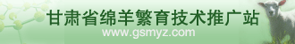 安徽省绵羊繁育技术推广站